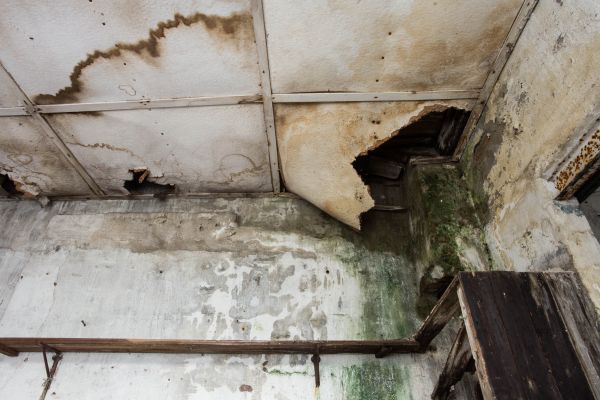 Cost of Water Damage Service in York
