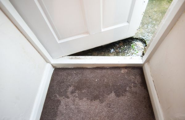Cost of Wet Carpet Restoration in York