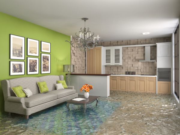 Cost of Wet Carpet Drying in York