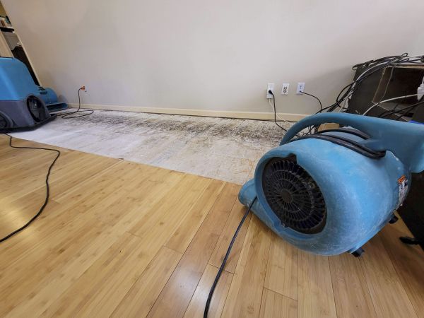 Cost of Water Damage Mitigation in York