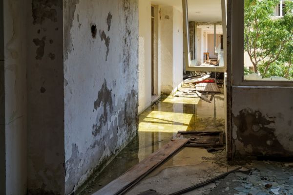 Cost of Water Removal Service in York