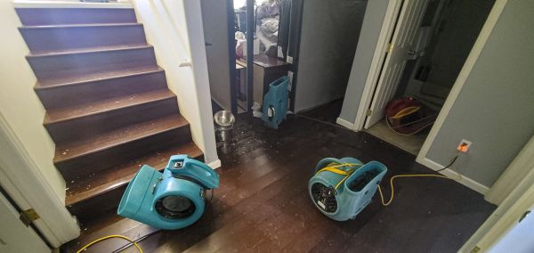 Cost of Water Damage Remediation in York