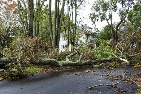Cost of Tornado Damage Repair in York