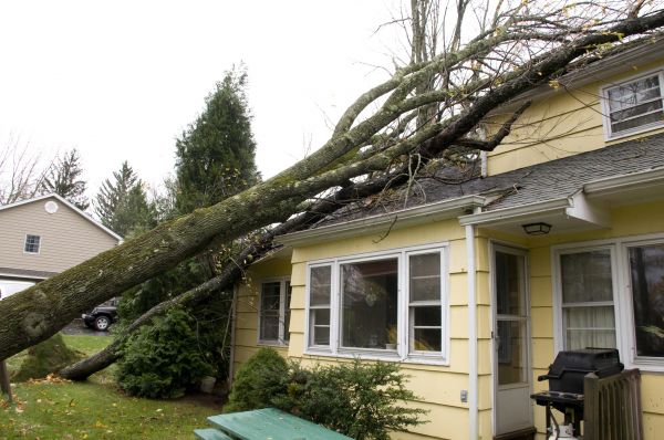 Cost of Hurricane Damage Repair in York