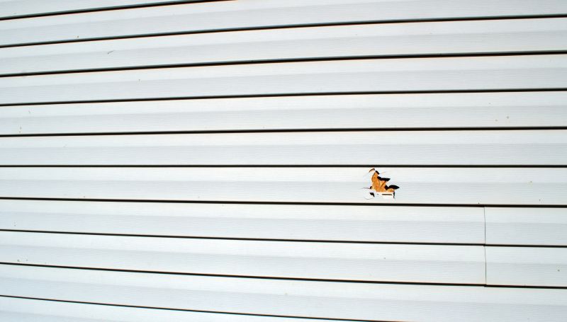 Specialized Siding Repair